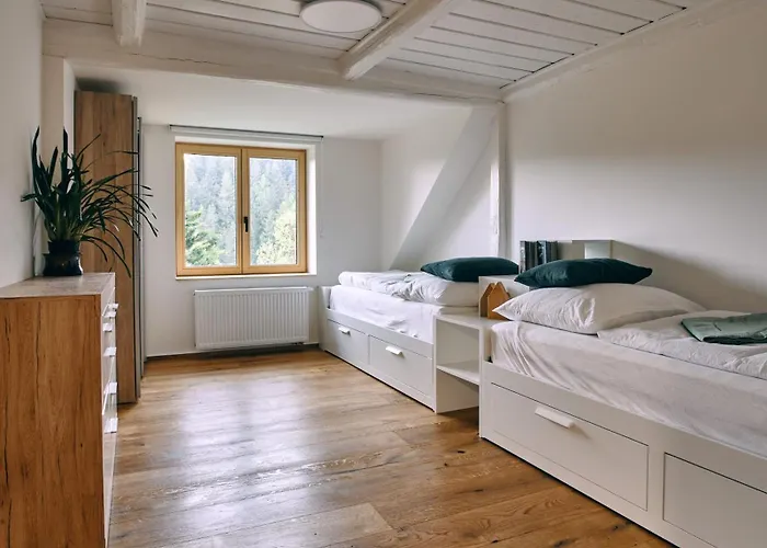 Jizerína Bedřichov